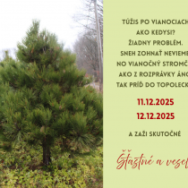 Predaj vianočných stromčekov 2025