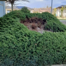 Cenník doplnkových služieb